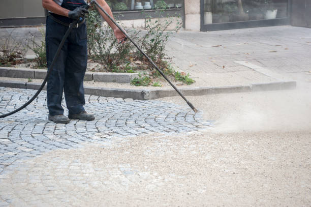 Animal Enclosure Cleaning in Basking Ridge, NJ
